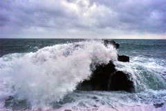 LA RESILIENZA DO SCHEUGGIO DO FERRA